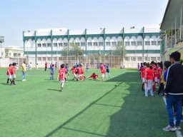 MIS Sports